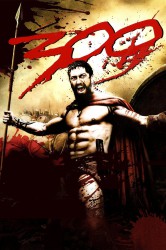 cover 300